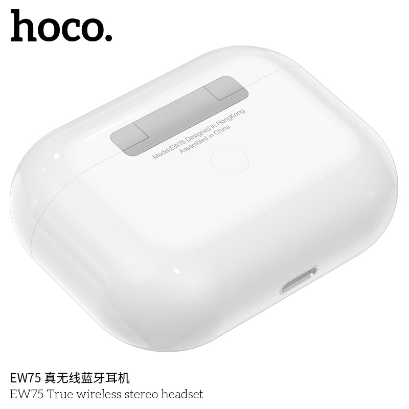 HD_SYNC:EW75 True wireless stereo headset