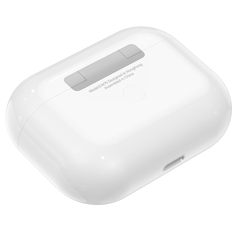 HD_SYNC:EW75 True wireless stereo headset