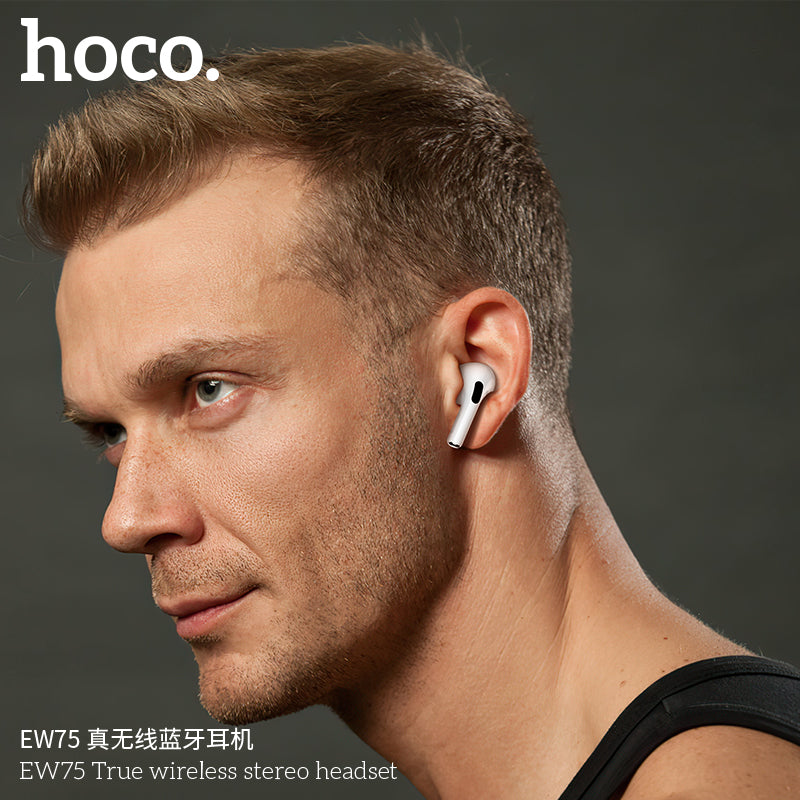 HD_SYNC:EW75 True wireless stereo headset