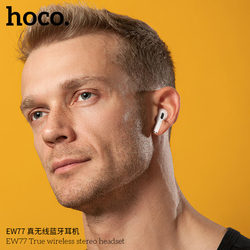 HD_SYNC:EW77 True wireless stereo headset